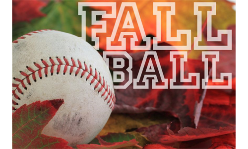 2023 Fall Baseball
